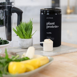 Plant Protein Vanilla